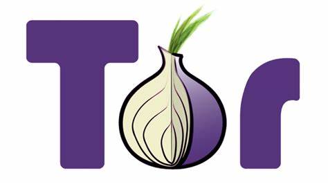 Tor 项目2020-2021年度报告